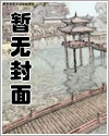 一袭银纱